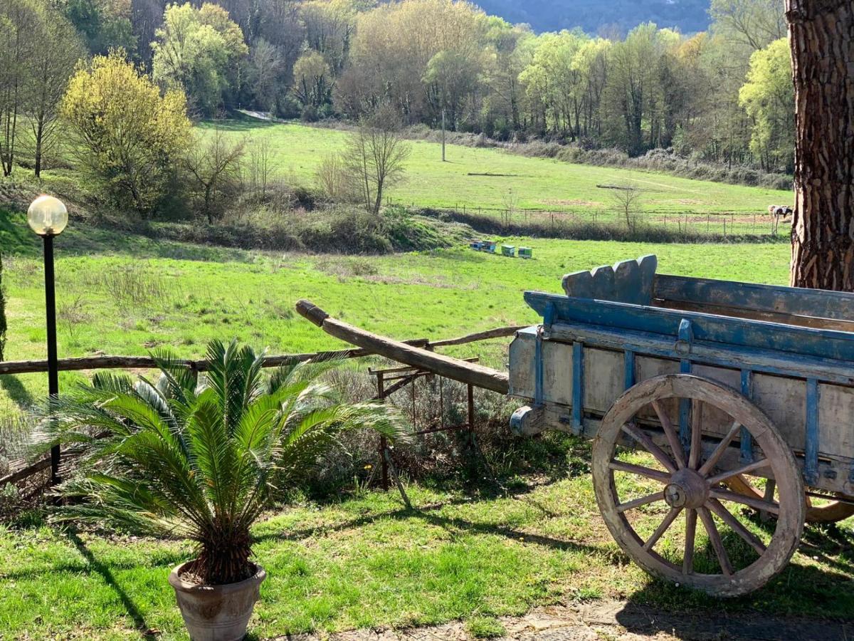 Villa Poggio Di Gaville Meleto Eksteriør billede
